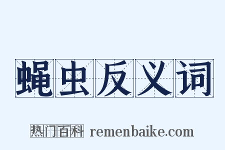 蝇虫反义词是什么意思的图片